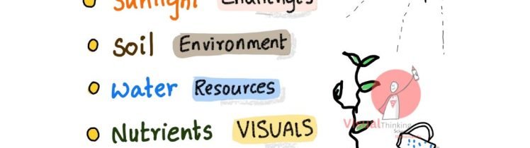 "Nurturing Knowledge: Learning as a Seed"