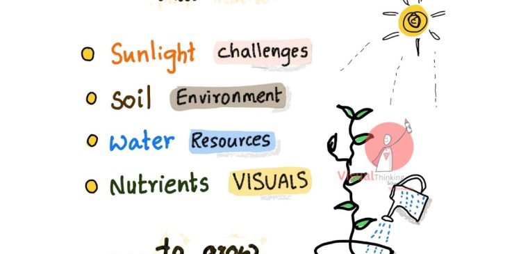"Nurturing Knowledge: Learning as a Seed"